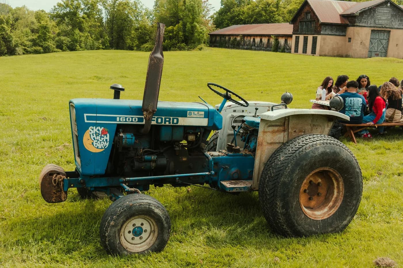 SKY HIGH FARMS FESTIVAL — image 2
